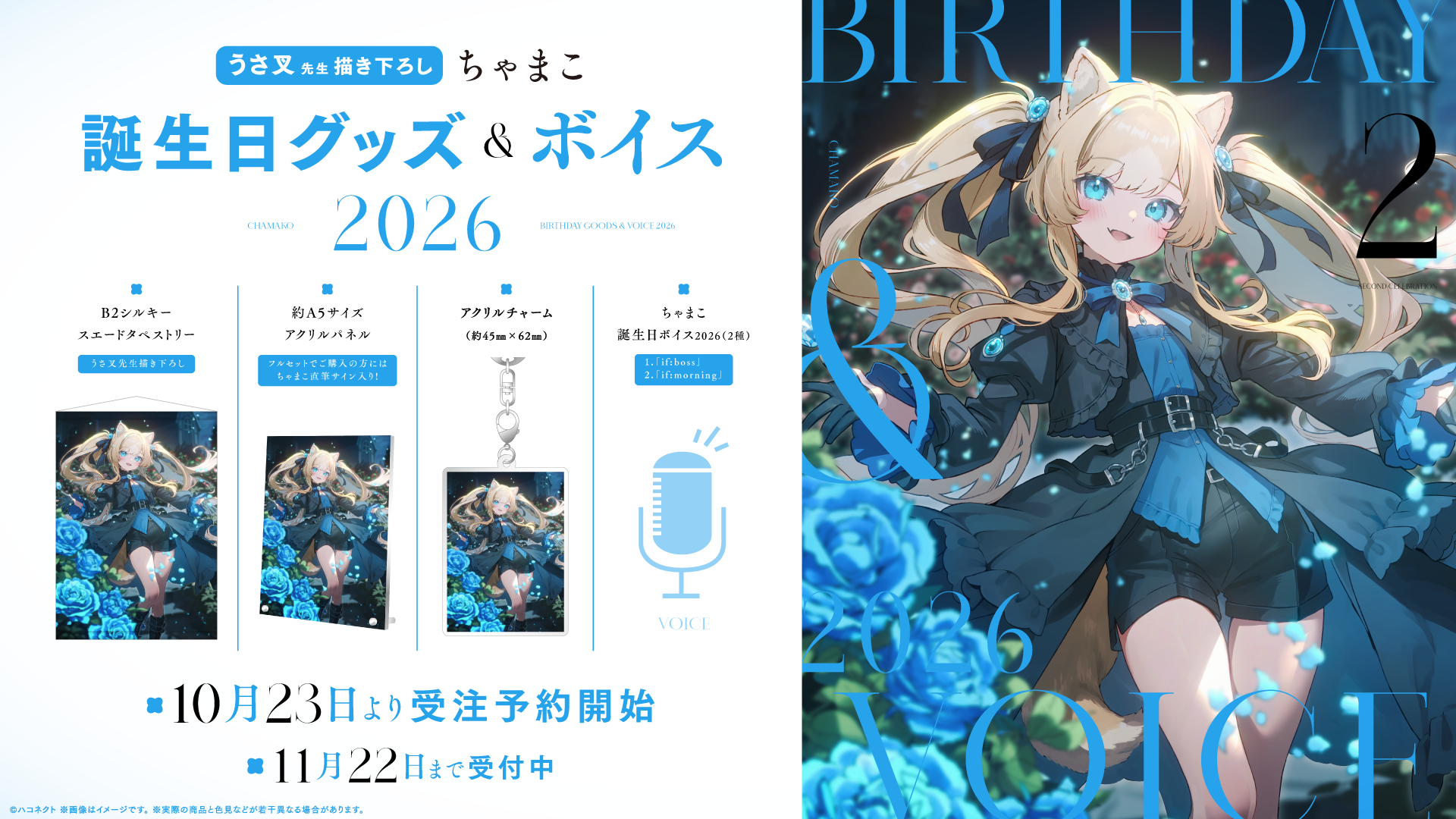 『ちゃまこ誕生日記念グッズ』発売開始!【11月22日(日)まで!】