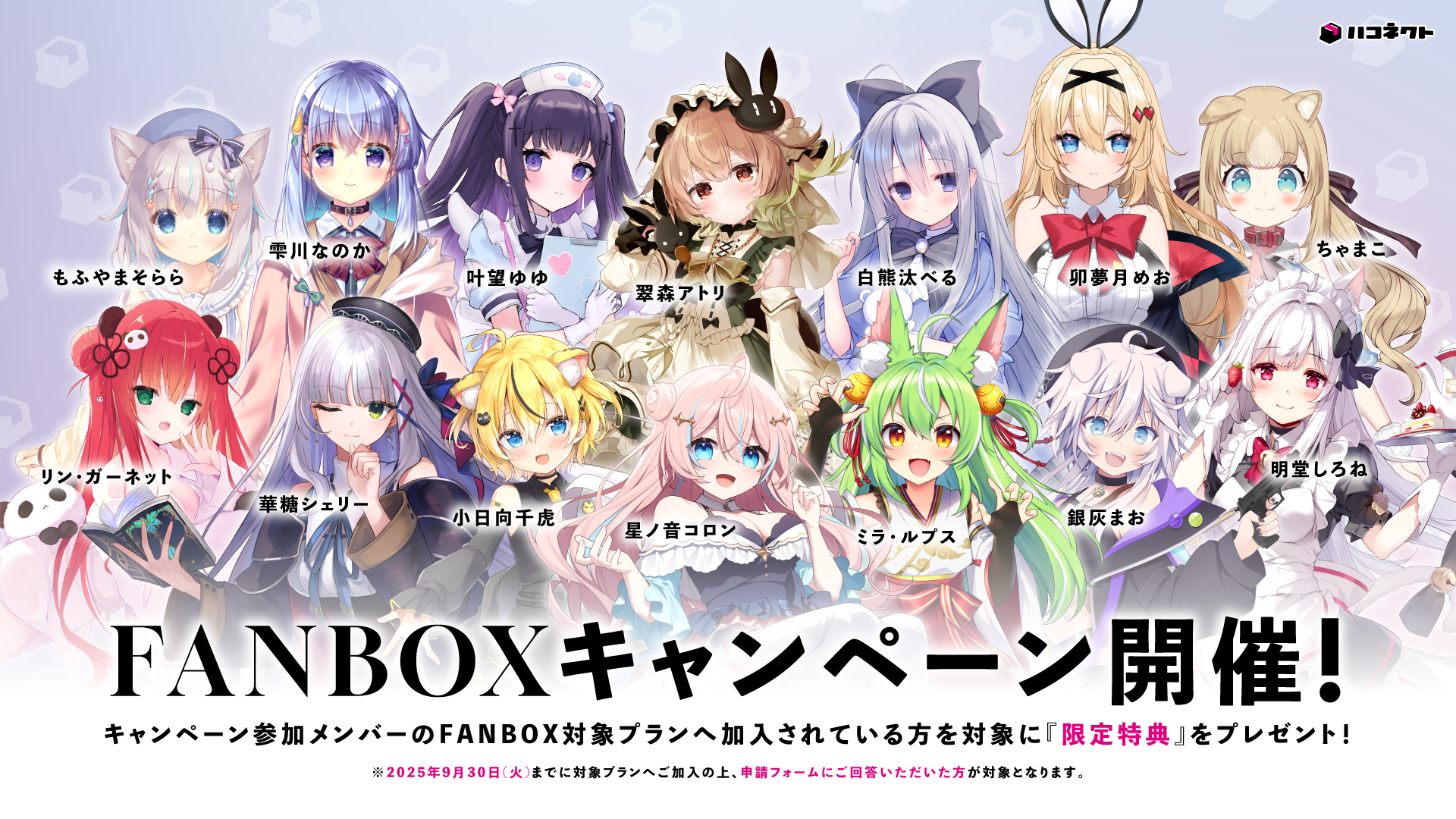 ハコネクトFANBOXキャンペーン実施決定！！